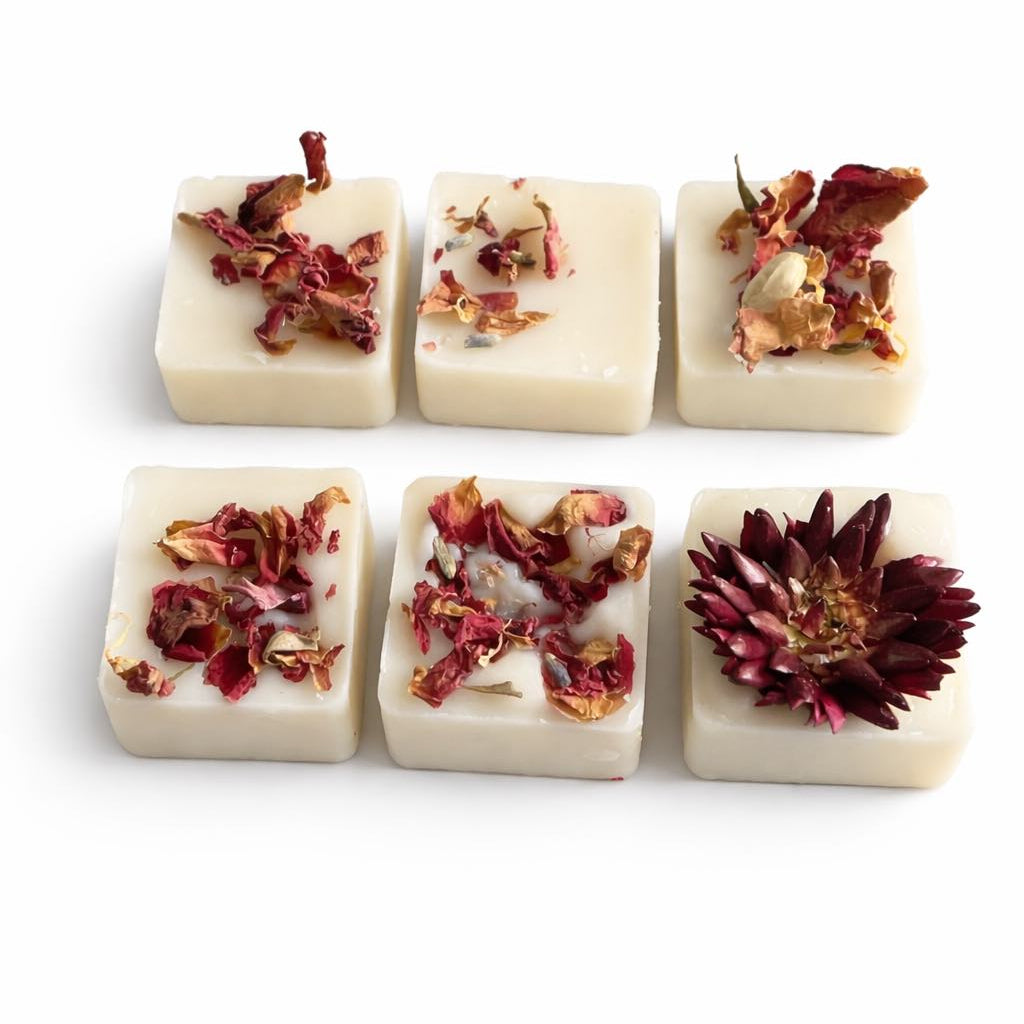 Six square wax melys square with dried flowers on a white background