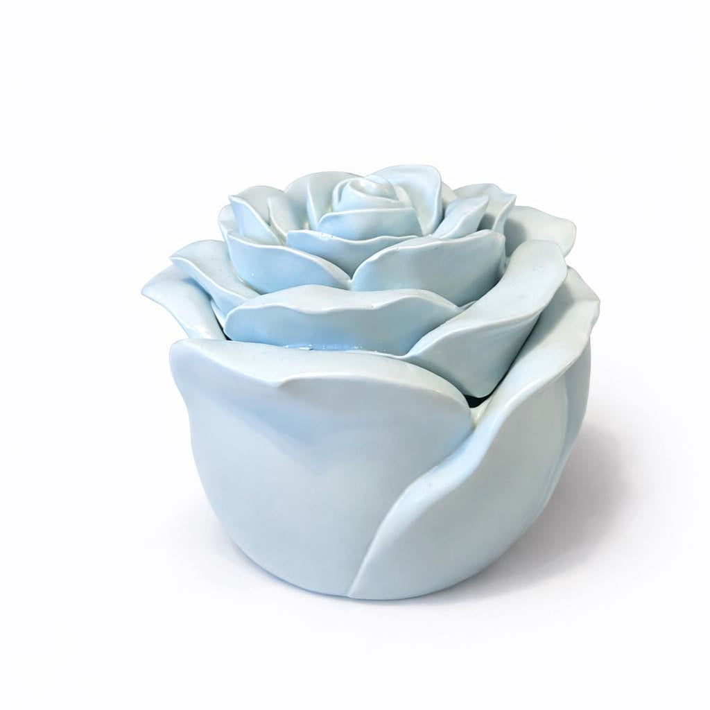 Light blue rose-shaped object on a white background