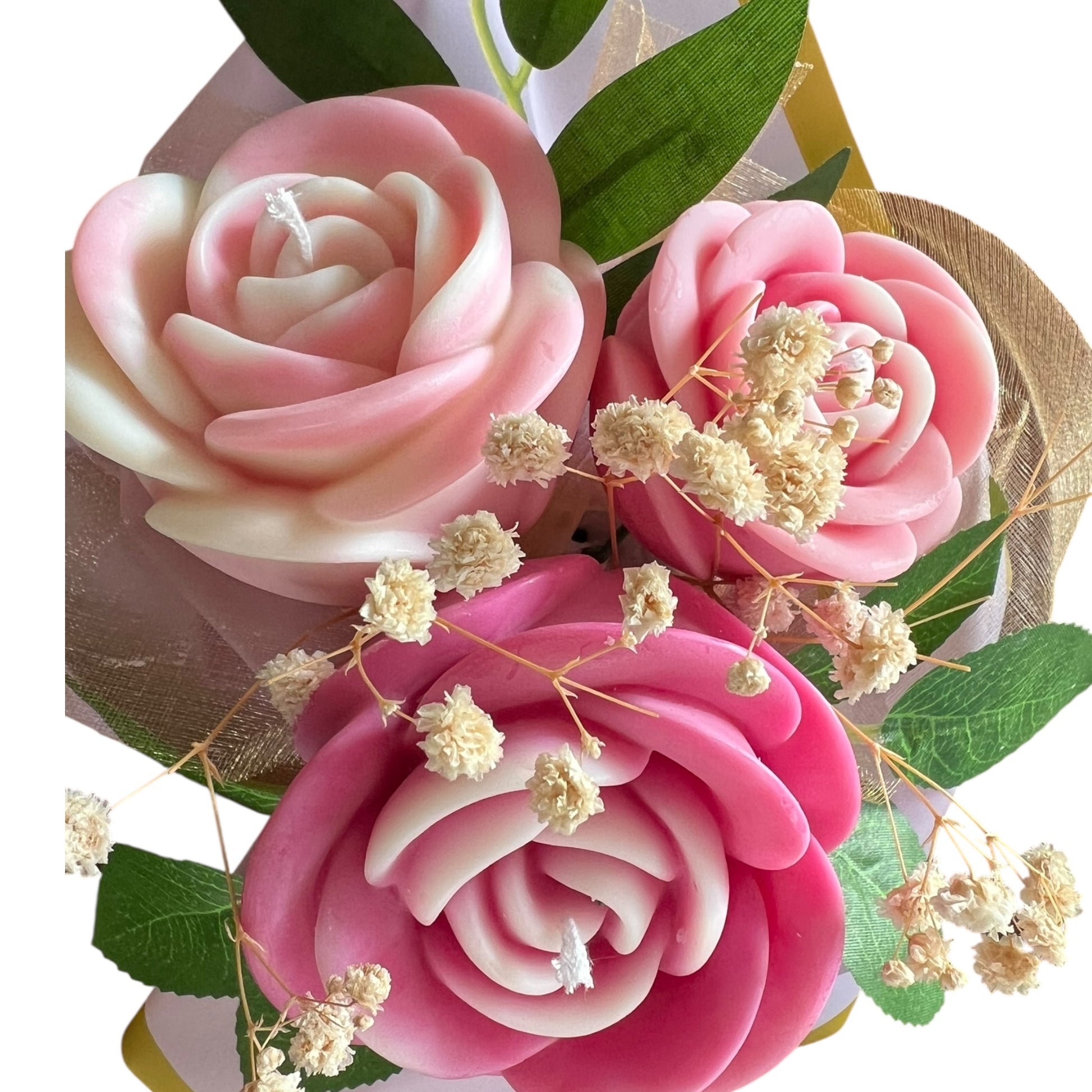 Three pink and white roses with green leaves on a white background